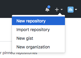 initialized empty git repository